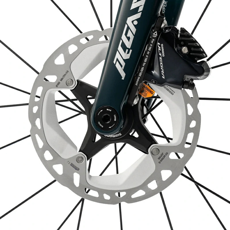 PGZ - Carbon Fiber Road Bike – Blue/Green