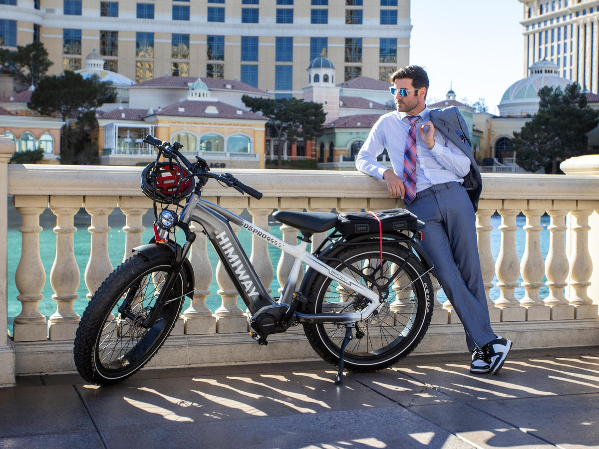 D5 Pro / All-terrain Electric Fat Bike