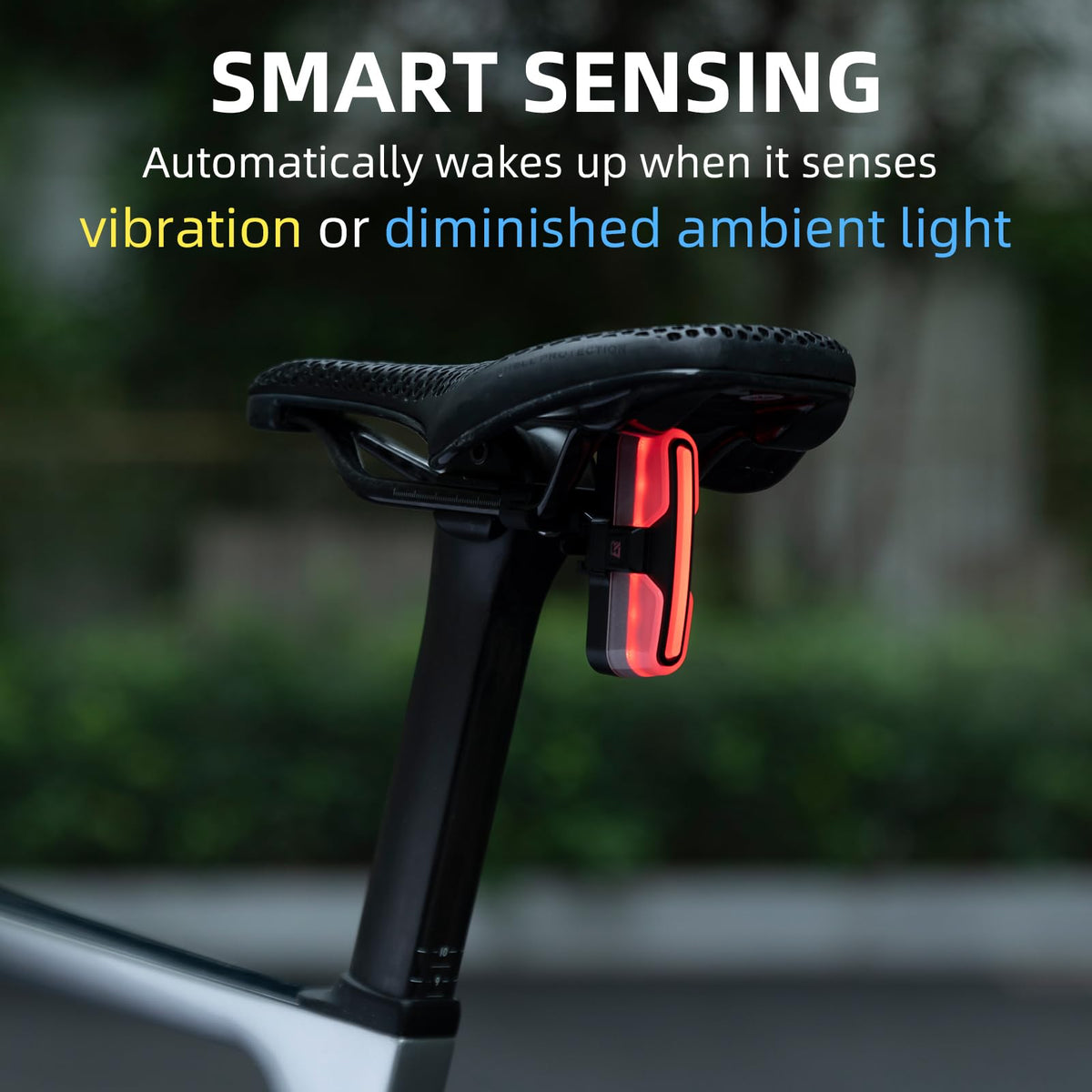 Tail Light Brake Sense USB