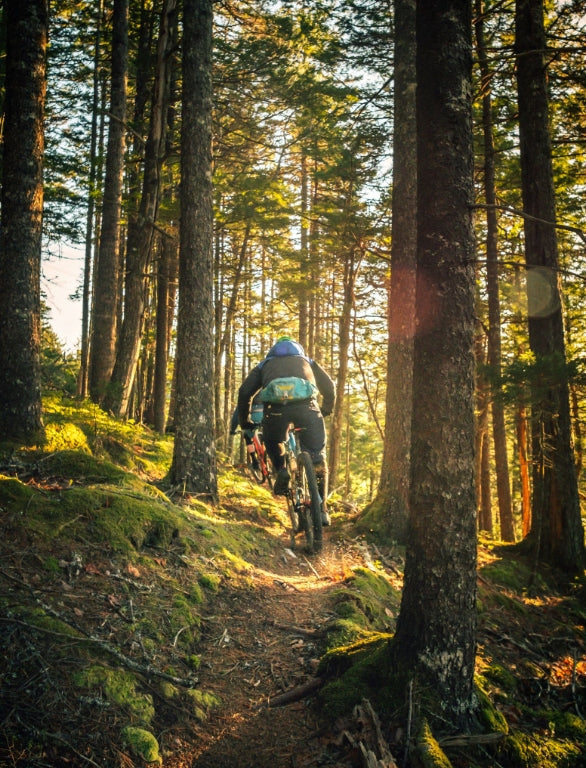 Exploring the Diverse World of Bicycles: A Guide to Different Types of Bikes