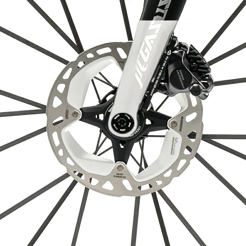 PGZ - Carbon Fiber Road Bike –  Black and White