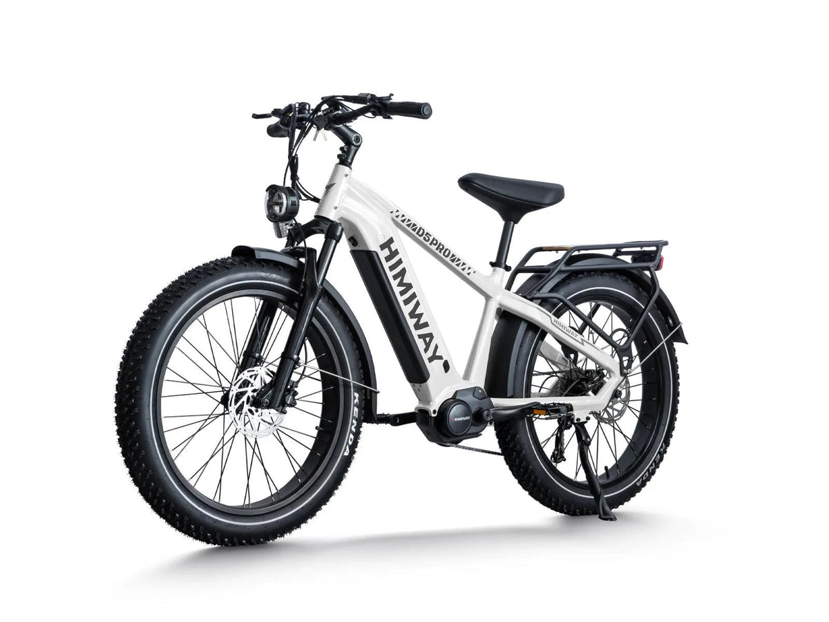 D5 Pro / All-terrain Electric Fat Bike
