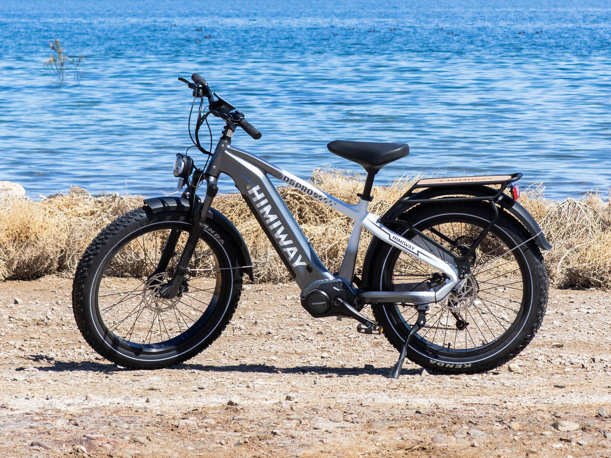 D5 Pro / All-terrain Electric Fat Bike