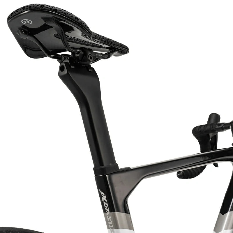 PGZ - Carbon Fiber Road Bike –  Black and White