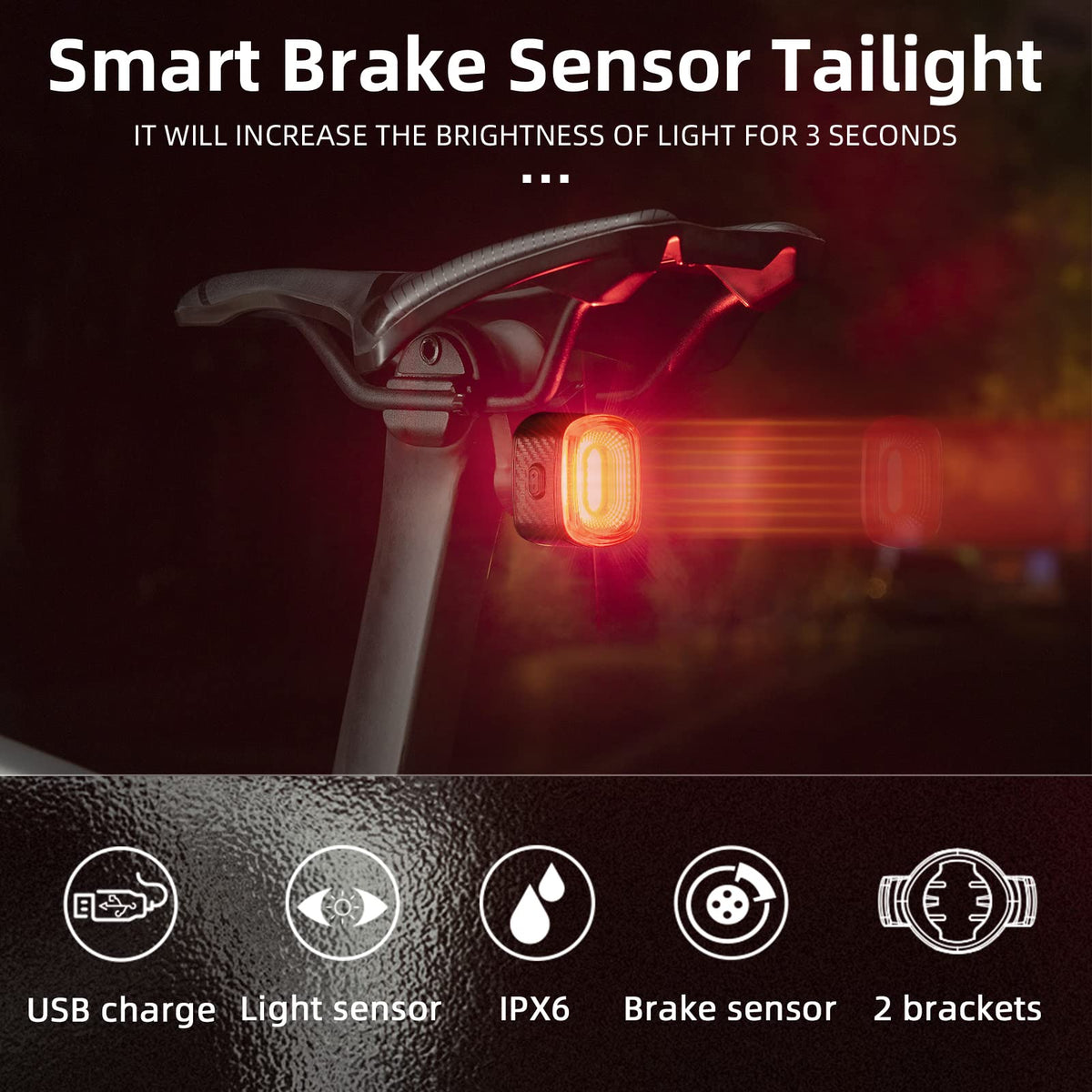 R2 Tail Light Brake Sense USB-C