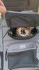 ROCKBROS Folding Bike Pet Bag  Backpack